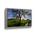 Hokku Designs Dejarvis California Oak in Late Afternoon Light - Print on Canvas in White | 24 H x 36 W x 2 D in | Wayfair