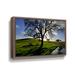 Hokku Designs Dejarvis California Oak in Late Afternoon Light - Print on Canvas Metal in Blue/Green | 32 H x 48 W x 2 D in | Wayfair