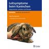 Leitsymptome beim Kaninchen - Anja Ewringmann