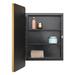 Ebern Designs Framed Medicine Cabinet w/ 2 Adjustable Shelves Plastic in Black/Yellow | 24.1 H x 16 W x 4.2 D in | Wayfair