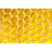 Hokku Designs Tocara Honey Hive On Canvas by Operofilm Photograph Canvas in Yellow | 20 H x 30 W x 1.25 D in | Wayfair