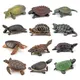 Realistic Turtle Action Figure Animals Figurines Kids Children Toys Models Miniature Aquarium