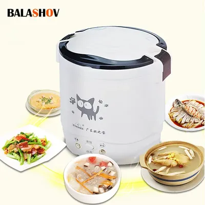 Electric Mini Rice Cooker Portable MultiCooker Household Rice Cookers 12V 24V 220V Pot Cooking