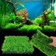 Artificial Home Water Grass Lawn Weeds Aquarium Ornament Aquatic Simulation Grass Plants Fish Tank