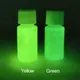 Glow in the Dark 2 Bottles Luminous Paint for Arts Crafts Party Decorations Green Phosphor Pigment 2