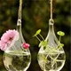 Glass Hanging Vase Flower Planter Container Pot Clear Ball Shaped Hydroponic Bottle Terrarium For