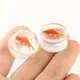 1PC Acrylic Clear Ear Gauges Tunnels 0g 2G 00 Plugs And Stretcher For Women Men Double Flare Fish 00