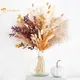 Natural Dried Pampas Bouquet Home Autumn Decoration Dry Flowers Reed Wedding Party Centerpieces for