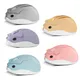 Cute Cartoon Wireless Mouse USB Optical Computer Mini Mouse 1600DPI Hamster Design Small Hand Mice