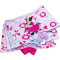 4pcs/Lot Girl Underwear Cute Printing Briefs Baby Kids Minnie Underpants 95% Cotton Cute Floral