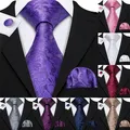 50 Styles 160cm Men long Tie for Wedding Business Purple Silk Necktie Handkerchief Cufflinks Paisley