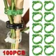 100/1Pcs Plant Support Clips Reusable Grafting Fixing Buckle Greenhouse Vegetable Tomato Clip Holder