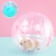 12 14.5cm Hamster Mouse Sports Fitness Running Ball Funny Pet Toy for Mini Animals Golden Bear Mice