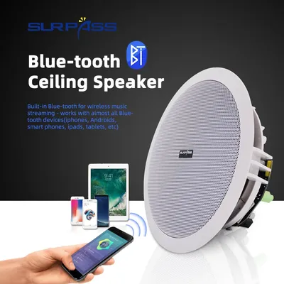 5.25 Inch audience 10W Bluetooth Ceiling speakers Built In Digital Class D Amplifier Bluetooth speaker for Indoor Outdoor Camper