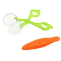 Children School Plant Insect Biology Study Tool Set Plastic Scissor Clamp Tweezers Cute Nature