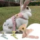 Newest Cute Rabbit Harness and Leash Set Bunny Pet Accessories Vest Harnesses Rabbit Leashes for