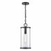 1 Light Outdoor Hanging Lantern in Farmhouse Style-17.25 inches Tall and 7.25 inches Wide Bailey Street Home 2499-Bel-4965801