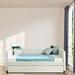 Rosdorf Park Leandra Daybed Upholstered/Velvet in White/Brown | 30.75 H x 58 W x 82.75 D in | Wayfair 83061B55605344A4812C14093EF4BC5D