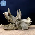 Animals Skull Fish Tank Fossil Dinosaur Ornaments Aquarium Rhinoceros Bone Decoration Fishbowl