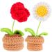 BESTONZON 2pcs Crochet Plants Hand Woven Flower Pots Decoration Crocheted Plant Ornaments