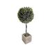 Topiary Flocked Boxwood Single Ball Topiary in Square Wood Planter 18" - 18" H x 6" x 6"