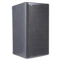 DB Technologies 15 in. Professional 2-Way Stage Monitor Powered Speaker with 8 Equipped Presets & Two Input Channels