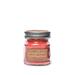 Eco Candle Co Apple Orchard Scented Jar Candle, Cotton in Red | Wayfair 8APL