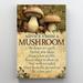 Trinx Advice From A Mushroom - 1 Piece Rectangle Graphic Advice From A Mushroom - 1 Piece Rectangle Graphic Art Print On Wrapped Canvas Canvas | Wayfair