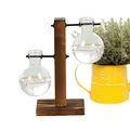 Vase à plantes en verre avec support en bois jardinière en verre pot à ampoules porte-fleurs