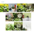 Dispositif d'arrosage automatique en boule de verre plantes d'intérieur kit d'arrosage pour maison