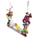 Jouets colorés pour perroquets aras suspendus en acrylique morsures sur Cages support de