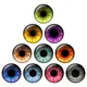 12 Pairs Doll Pupil Eyes Chips 14mm Super Thin Glass Eye for Blythe Doll DIY Jewelry Making Supplies