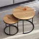 2Pcs Nordic Coffee Table 2 in 1 Round Combination Office Tea table Modern Minimalist Home Sofa Ins