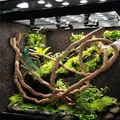 Large Flexible Vines Rattan Habitat Decoration Bendable Jungle Branches Climb Pet Supplies Reptiles