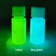 Glow in the Dark 2 Bottles Luminous Paint for Arts Party Decorations Blue Green Phosphor Pigment 20g