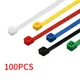 100PCS 3/4/5 Series Self-Lock Cable Ties Plastic Nylon Cable Ties Fasten Loop Cable Organizer Nine