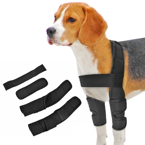 Hund Knie orthese Verletzungen Beins tütze chirurgisches Gelenk Wrap Hund Wunden heilt Hund
