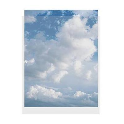 ClearFile Print Protector (8.5 x 11