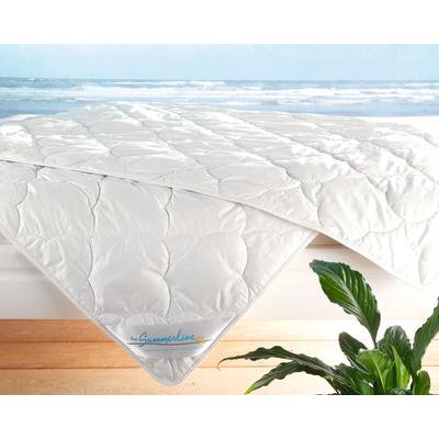 Frankenstolz »Summerline Cool Linnen« Bettdecke Leich-Steppbett 135x200 cm 650g Image