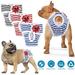 BadPiggies Washable Female Dog Diapers Reusable Premium Doggie Diapers Striped Pet Cat Wraps Nappies (XL Blue)