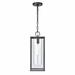 Elk Home - Augusta - 1 Light Outdoor Hanging Lantern In Farmhouse Style-19