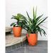 Orange Ceramic Plant And Flower Pots - Small 8â€� X 7â€� - For Indoor Plant Pots & Outdoor Planter (Both)