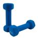 Antzz Dumbbells Set of 2 Exercise Fitness Dumbbell for Home Gym Free Weights Hand Hex Dumb Bells Blue 4LB