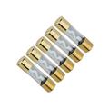 25 Pack 40 AMP Gold Plated Fast-Blow Glass Car Audio AGU Fuse for Car Auto Marine Audio Stereo