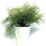 Realistic Faux Baby Lemon Grass Potted Plant Houseplant Kitchen Lushly Leafed White Pot 6 Inches Diameter x 9.75 Tall