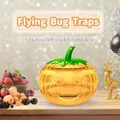 Piège à mouches et abeilles non toxique piège à insectes volants attrape-mouche des fruits en