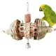 Jouets à mâcher pour petits perroquets boule de rotin Cage à oiseaux morsure pour aras gris