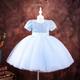 Flower Girls Dress Tutu Dress Wedding Birthday Party Embroidered Blue Sequins Child Tulle Girl