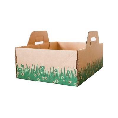 Ten Second Litter Box Disposable Cat Litter Box, 5 count