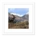Andrewmckie Red Deer Stag Glen Etive Scotland Photo 8X8 Inch Square Wooden Framed Wall Art Print Picture with Mount